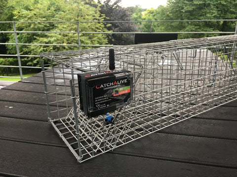 CatchAliveOne trap alarm V1 (2G) incl. marten trap with 2 entrances and 1 year subscription